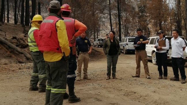 Forestal Arauco: Brigadistas detenidos por incendio no trabajaban para la celulosa en 2020
