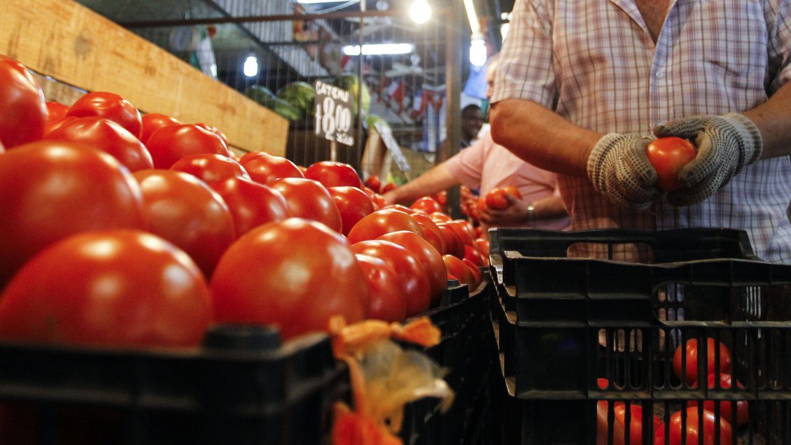 IPC de febrero sufrió una variación mensual del 0,2%: Papas y tomates a la baja