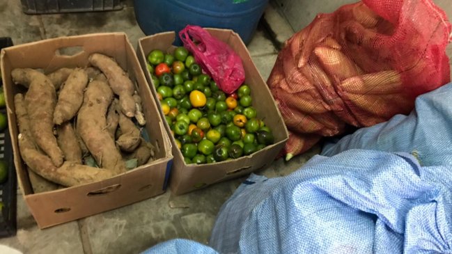 SAG Tarapacá incautó ocho toneladas de productos clandestinos entre enero y febrero