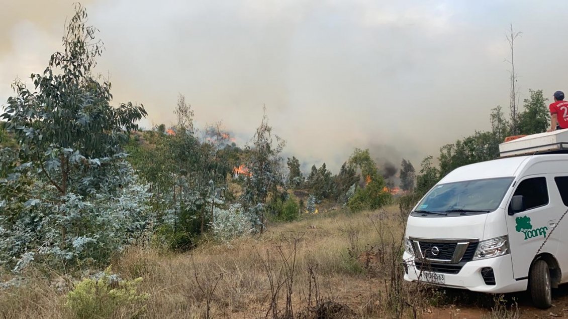 Decretan alerta roja en Valparaíso por incendio forestal que amenaza a la Reserva Peñuelas