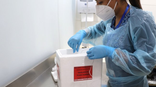 Tras 20 años, la Región de Coquimbo vuelve a realizar procuramiento de córneas