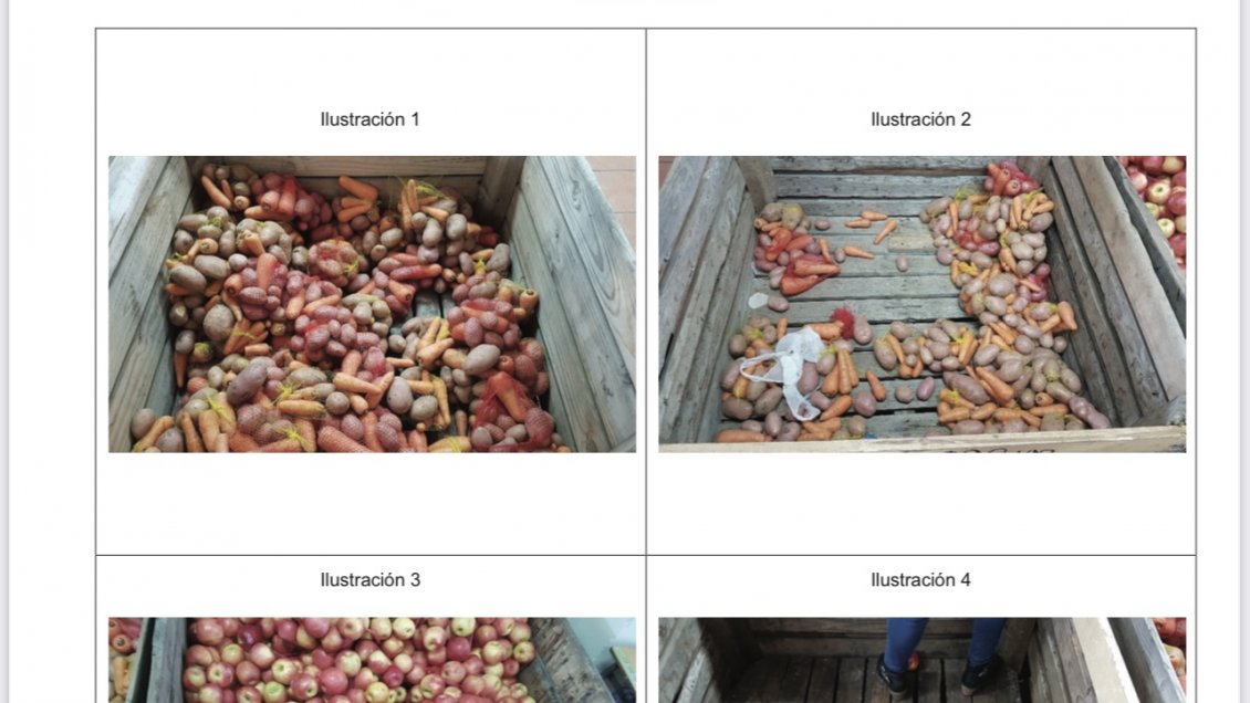 Contraloría detectó irregularidades en el control de entrega de cajas de alimentos en O'Higgins