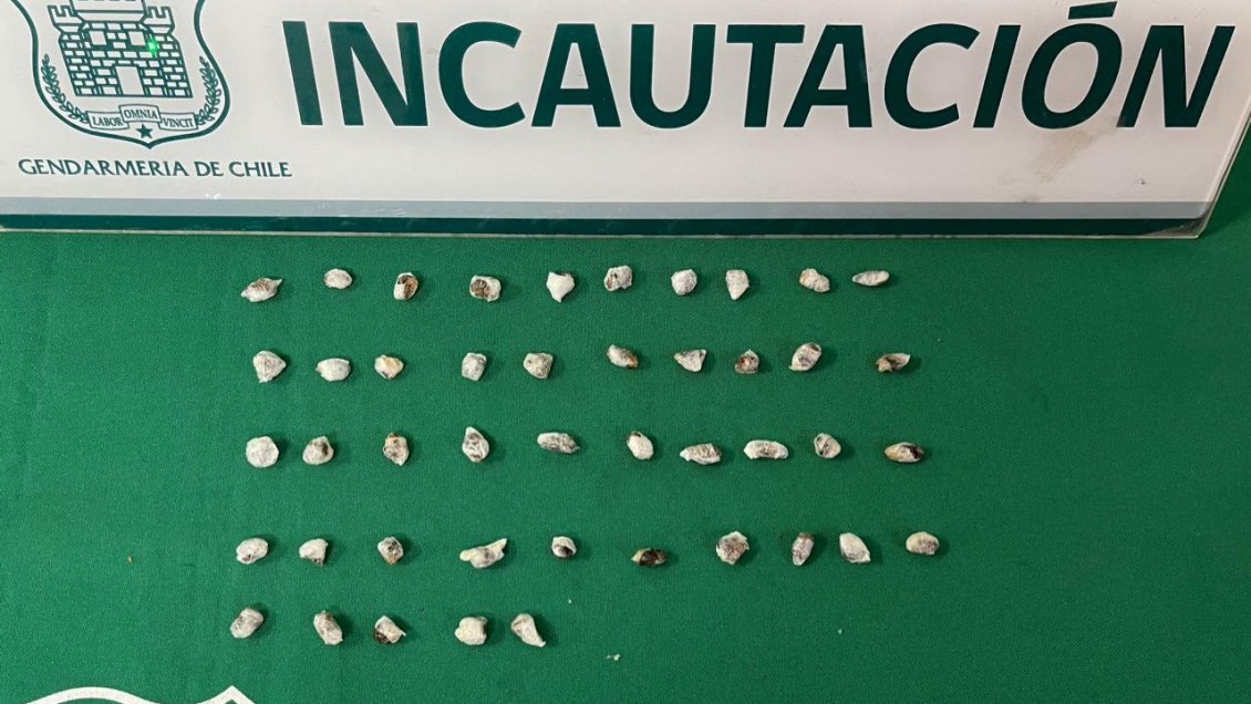 Madre intentó ingresar droga en una botella de cloro para su hijo preso en la cárcel de Valparaíso