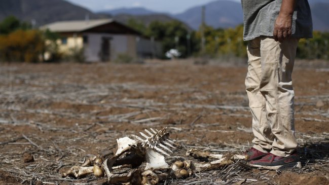 Escasez hídrica y altas temperaturas: En 100 años Chile será tierra árida