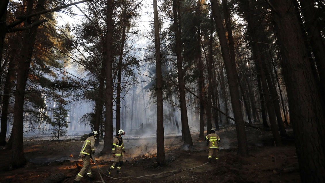 Conaf controló incendios forestales en la Reserva Lago Peñuelas: Casi 360 hectáreas afectadas