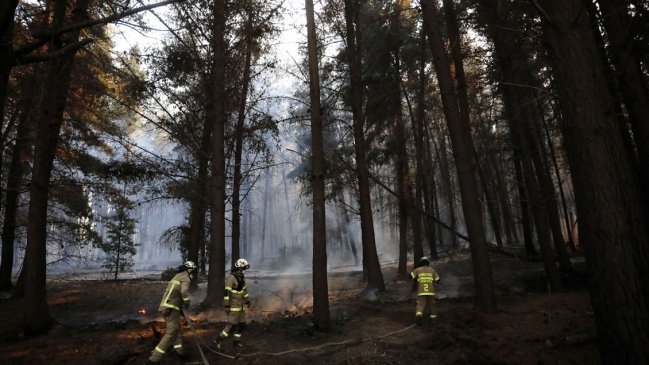 Conaf controló incendios forestales en la Reserva Lago Peñuelas: Casi 360 hectáreas afectadas