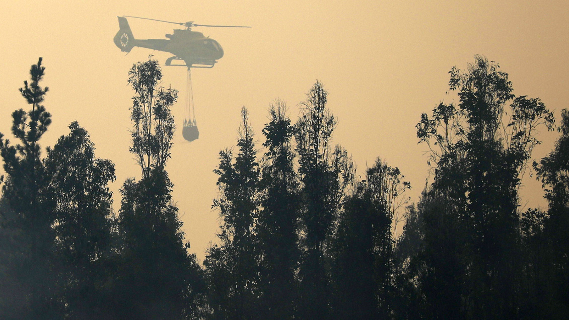 Nuevo incendio afecta a la Reserva Lago Peñuelas: Alerta roja para Valparaíso y Casablanca
