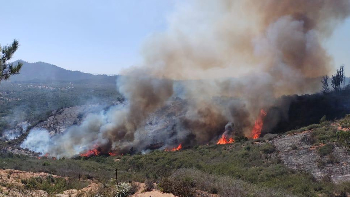 Controlado incendio de Valparaíso y Casablanca que afectó a Reserva Lago Peñuelas