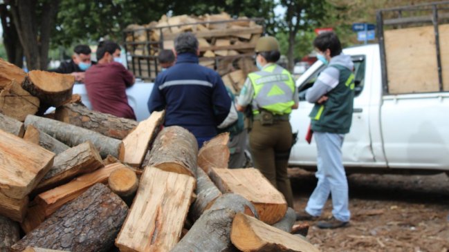 Conaf intensifica fiscalizaciones a la producción y venta de leña en Chillán y Chillán Viejo