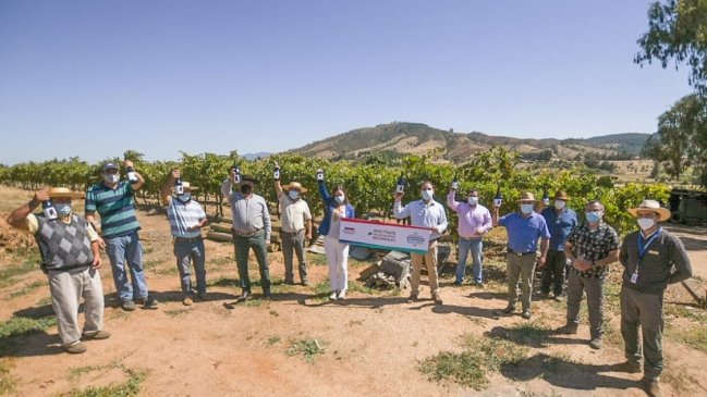 Viñateros de San Carlos lanzaron segunda edición de vino que logró reconocimiento mundial el 2020