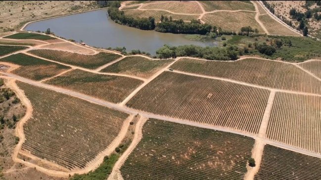 Dos meses después de la denuncia, DGA fue a investigar causas que secaron al Río de Cauquenes