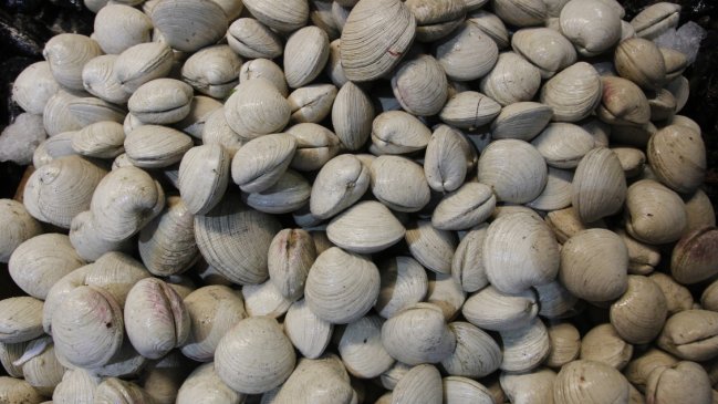 Sernapesca incautó más de 11 mil kilos de productos del mar en La Araucanía