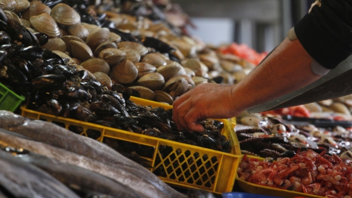 Autoridades investigan venta de mariscos en mal estado en Osorno