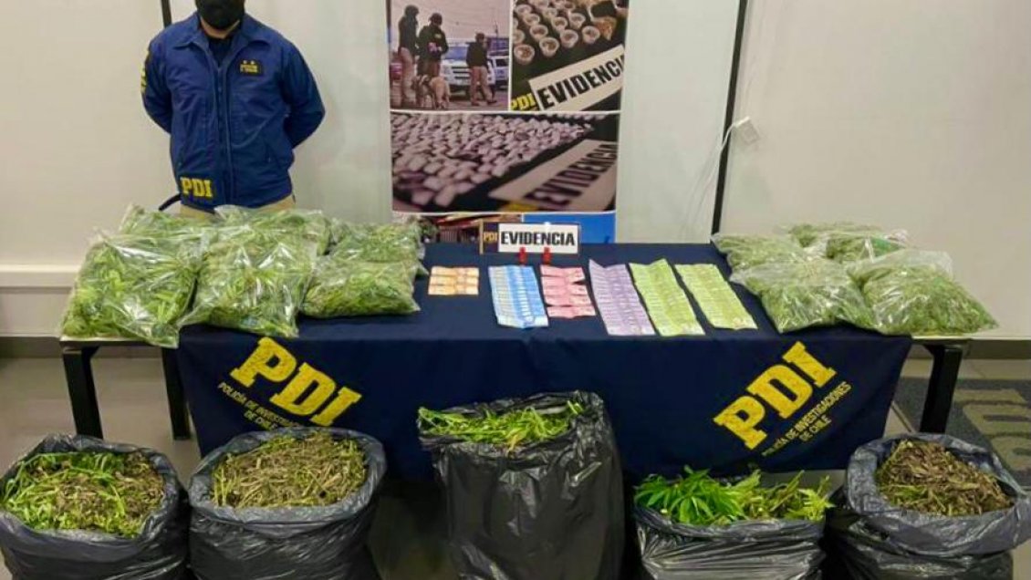Incautan 34 kilos de marihuana desde domicilio en Santa Cruz