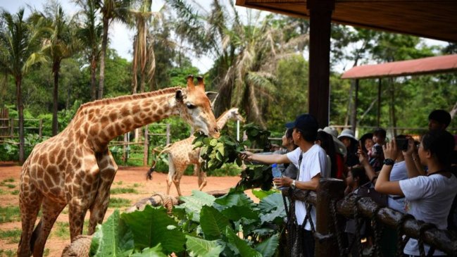 Turismo nacional de China se acerca a nivel anterior a la pandemia durante festividad