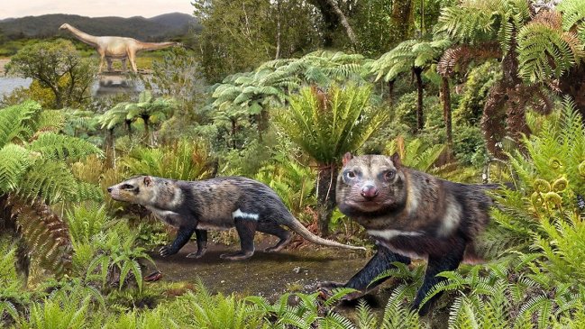 Descubren nuevo mamífero de la era de los dinosaurios en la Patagonia Chilena