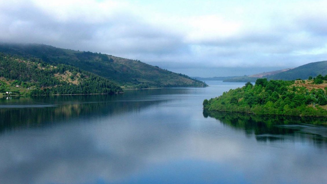 Comunidades mapuche del Lleu Lleu revelaron acuerdos con forestal Mininco para recuperar terrenos