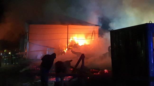 Seis caballos murieron tras incendio en caballeriza en Colina