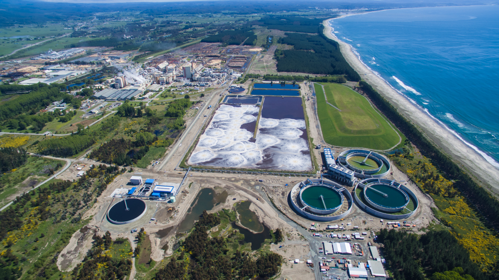 Por focos de Covid, Salud paralizó faenas de proyecto de la planta Arauco en el Biobío