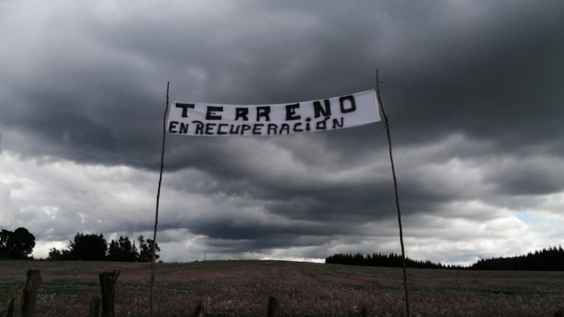 Usurpaciones de tierras en la macrozona sur aumentaron 688% el primer trimestre
