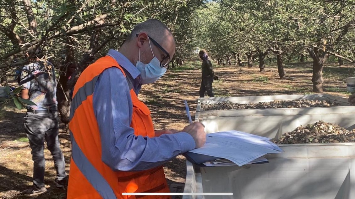 Mostazal: Sorprenden a trabajadores agrícolas sin permisos temporales y laborales