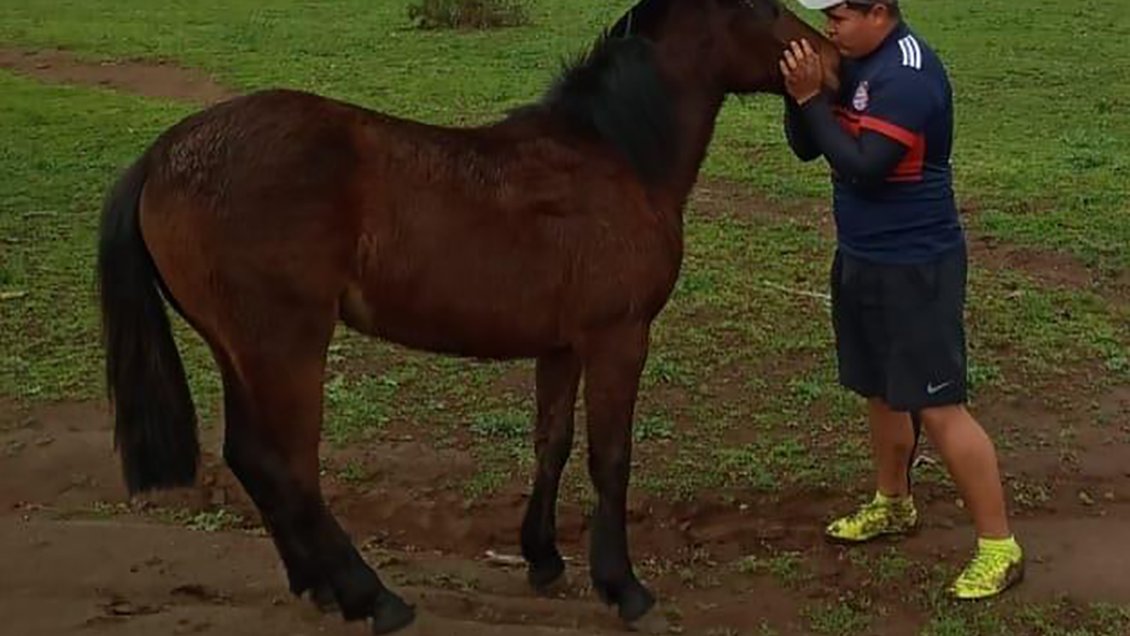 Joven arriero perdido en Los Vilos fue encontrado muerto