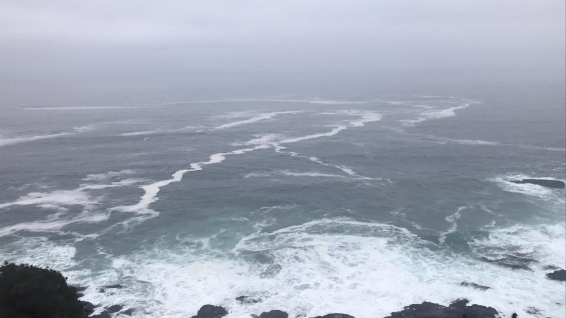 Marejadas afectarán el litoral y el territorio insular a contar de este domingo