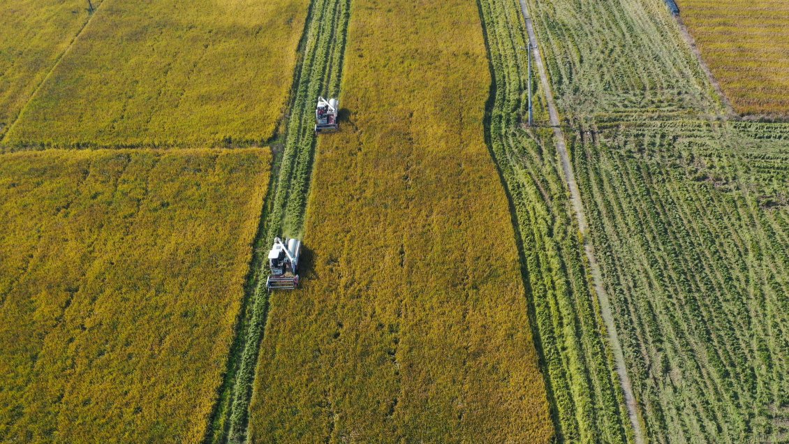 China y EEUU se comprometen a reforzar la implementación del acuerdo de París