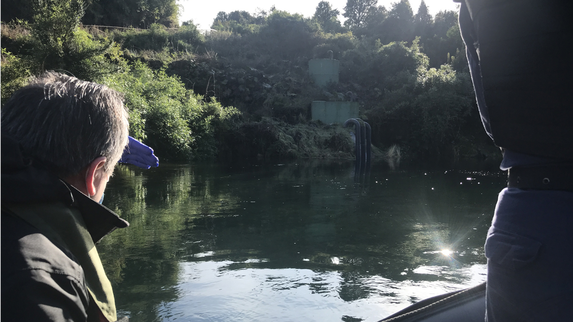 Essal Los Lagos arriesga hasta 6.800 millones de pesos por daño ambiental en el río Maullín