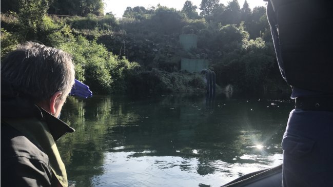 Essal Los Lagos arriesga hasta 6.800 millones de pesos por daño ambiental en el río Maullín