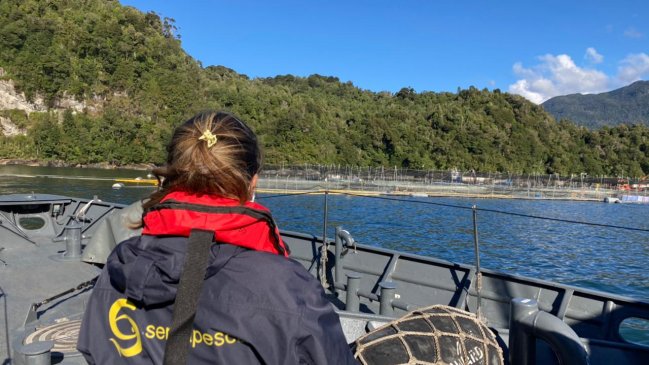 Buzo falleció en accidente durante faenas de mantención en centro de cultivo de salmones
