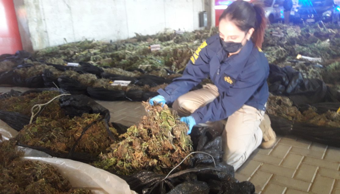 Corte mantuvo encarcelamiento de imputados tras histórica incautación de drogas en Ñuble