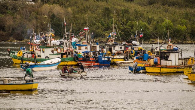 Aguas agitadas por posible autorización a flota de Los Lagos para pescar en Aysén
