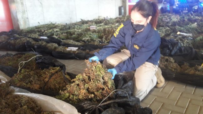 Corte mantuvo encarcelamiento de imputados tras histórica incautación de drogas en Ñuble