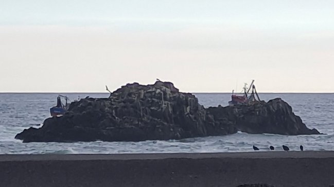 Cobquecura: Ante actividad pesquera, buscan ampliar área protegida de La Lobería