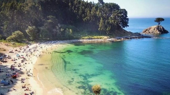 Desistió empresa que pretendía lotear fundo del Santuario de la Naturaleza de Hualpén