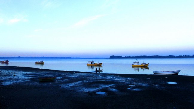 Subpesca y Conaf se reúnen tras polémica en Aysén por supuesta extracción en áreas protegidas