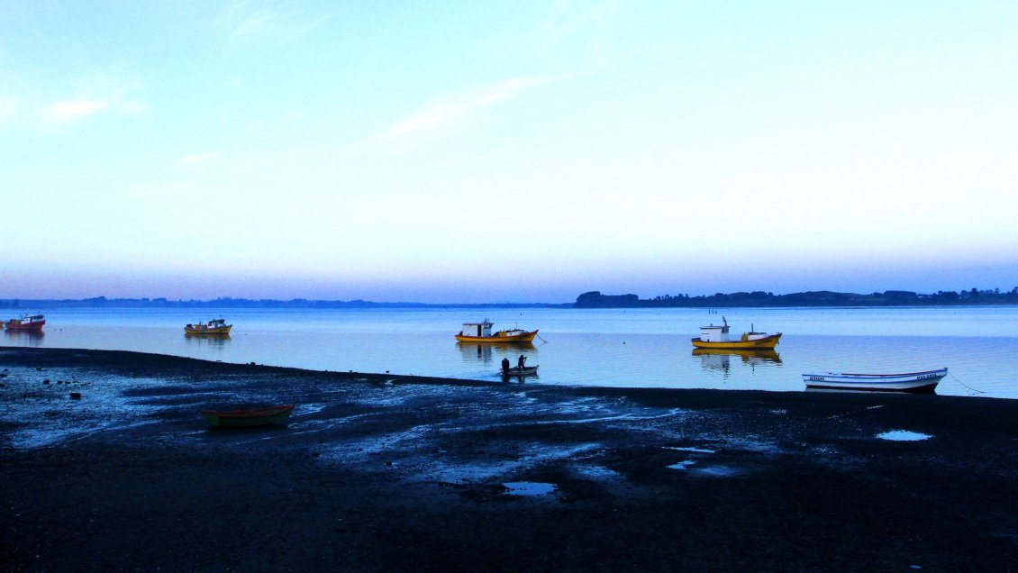 Subpesca y Conaf se reúnen tras polémica en Aysén por supuesta extracción en áreas protegidas
