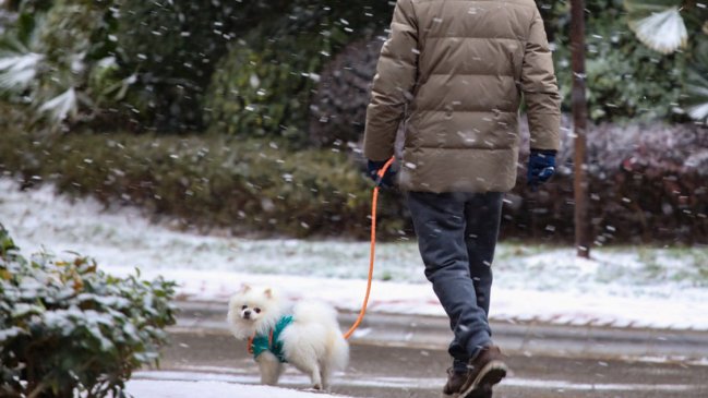 Perros deberán llevar correas en espacios abiertos en China