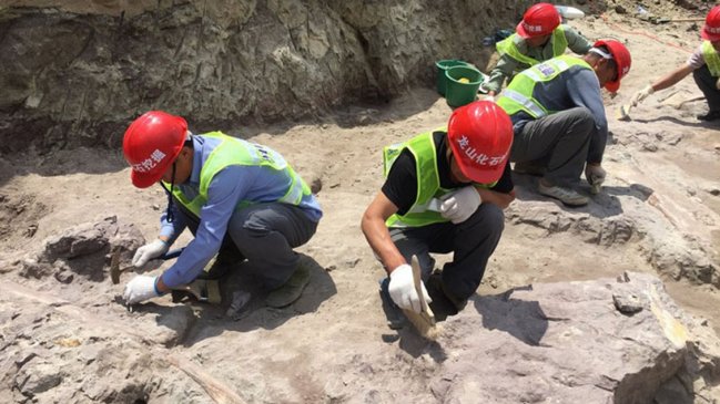 Hallan fósil de cría de dinosaurio de 200 millones de años de antigüedad en suroeste de China