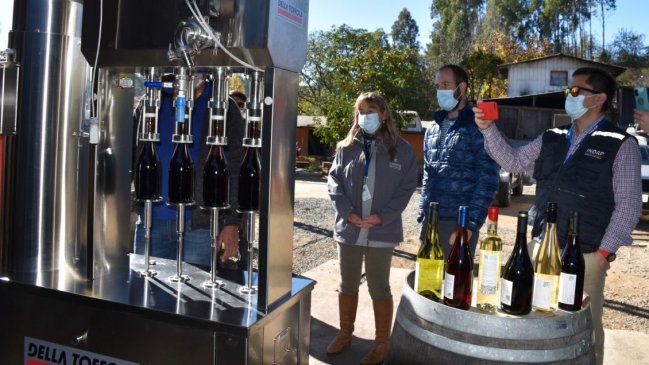 Viticultores de Coelemu quintuplicaron producción tras adquisición de 