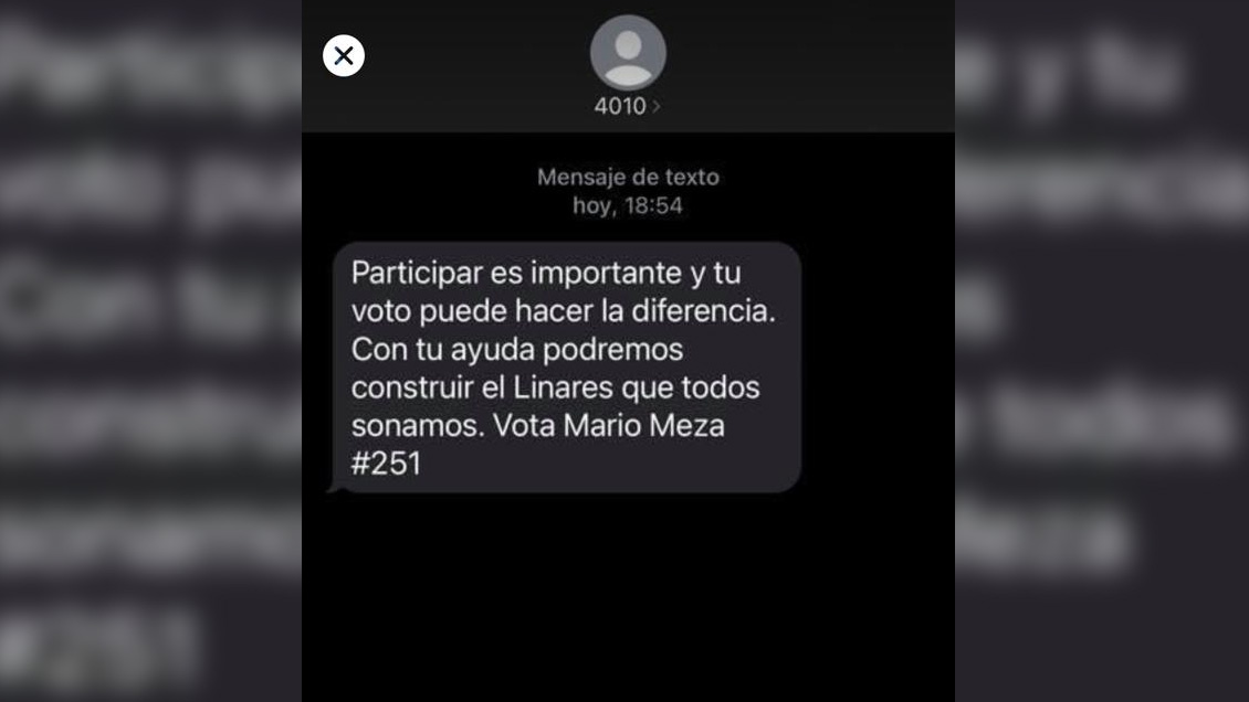 Ximena Rincón denunció mensajes de texto con apoyo a candidato RN por Linares firmados por Interior