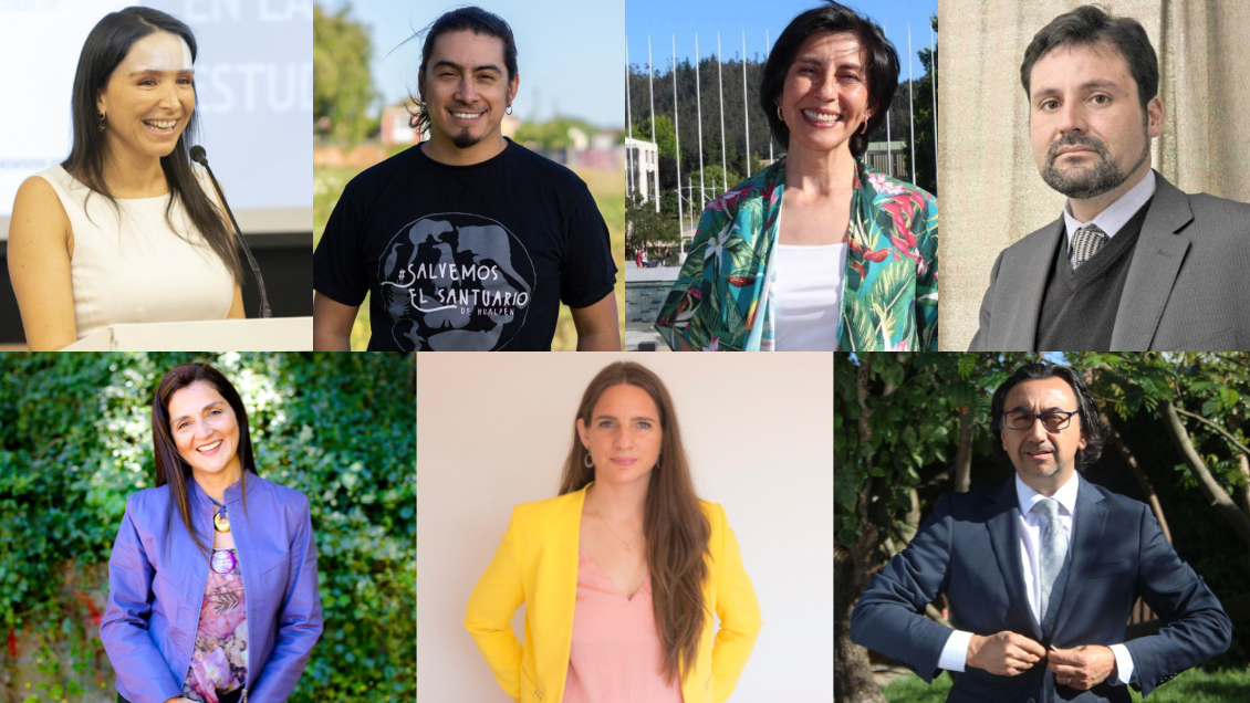 Los compromisos y prioridades de los siete constituyentes electos en la Provincia de Concepción