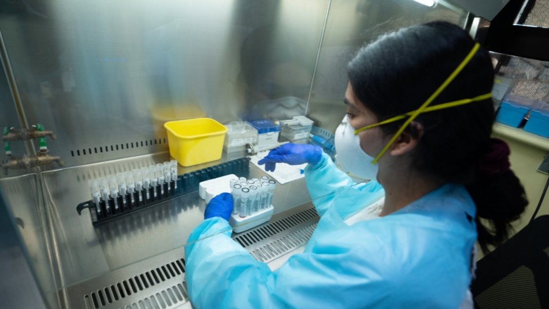 Autoridad sanitaria reconoció 41 brotes familiares asociados al Día de la Madre en Ñuble