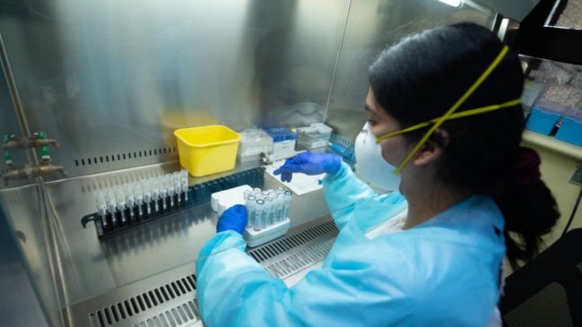 Autoridad sanitaria reconoció 41 brotes familiares asociados al Día de la Madre en Ñuble