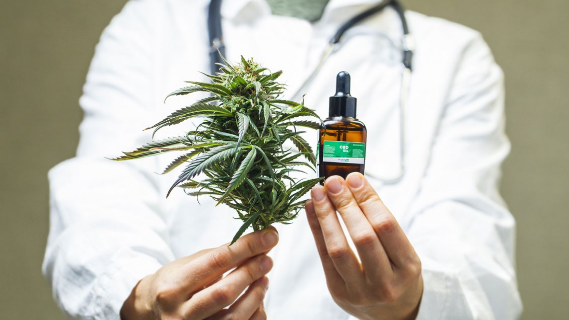 INDH presenta denuncia en Puerto Natales por vulneración de derechos a usuarios de cannabis medicinal