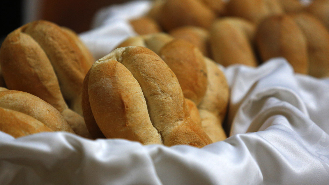 Cámara Baja solicita formalmente al Gobierno que 