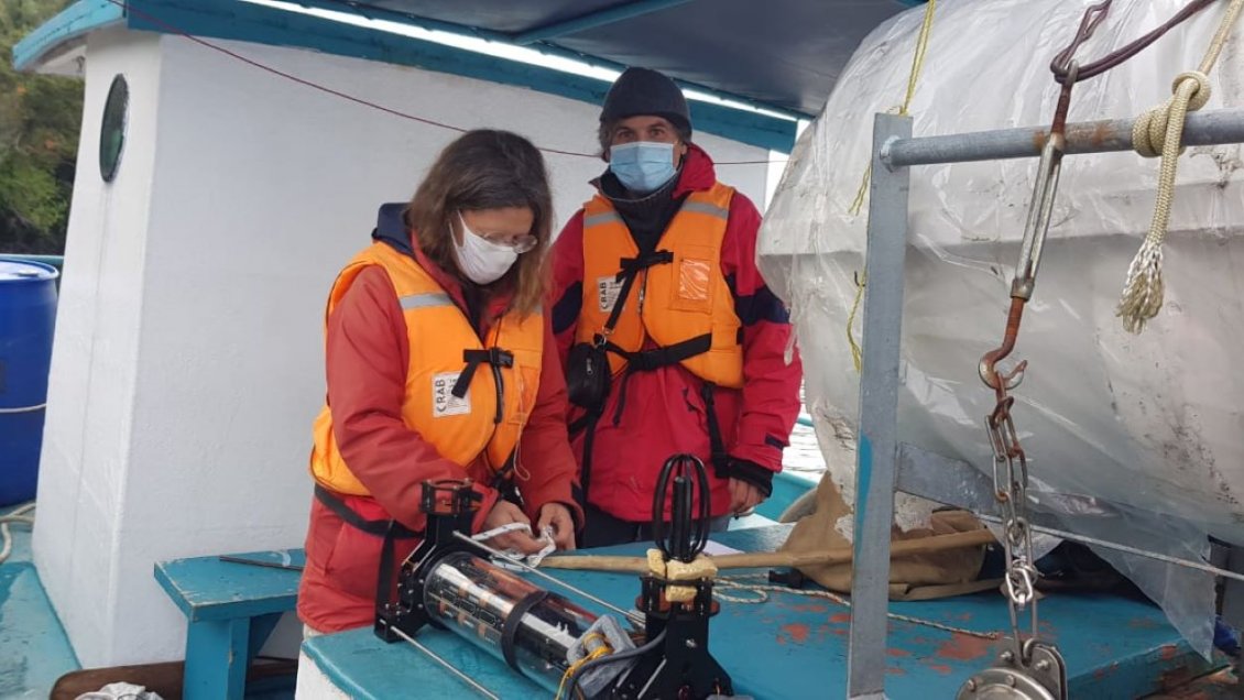 Con grabaciones de audio submarinas estudiarán cetáceos en fiordo Puyuhuapi
