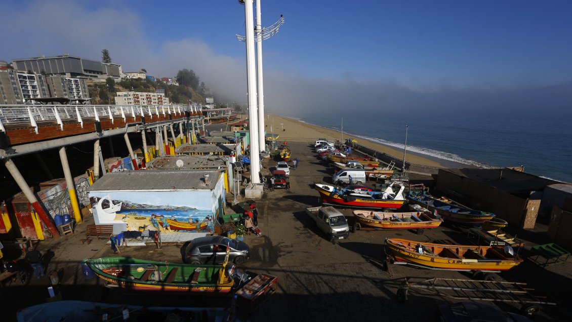 Cámara Baja despachó ley que establece cuotas de género en pesca artesanal