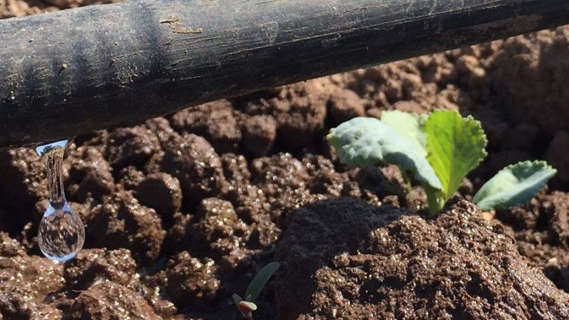 Ñuble: Avanza estudio para proyectos de riego que favorezcan la pequeña agricultura en Ránquil